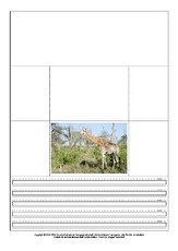 Popup-Buch-Giraffe-1-8.pdf